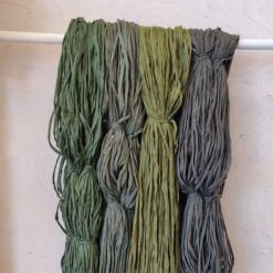 Matonkudelajitelma - 02 Gekko